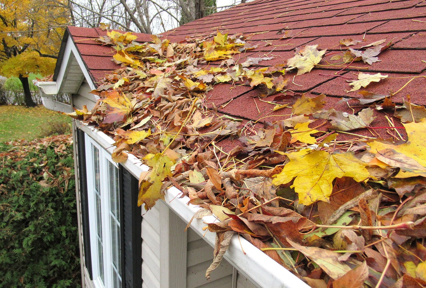 Nature, ' Home Maintenance, Clearing Gutters '