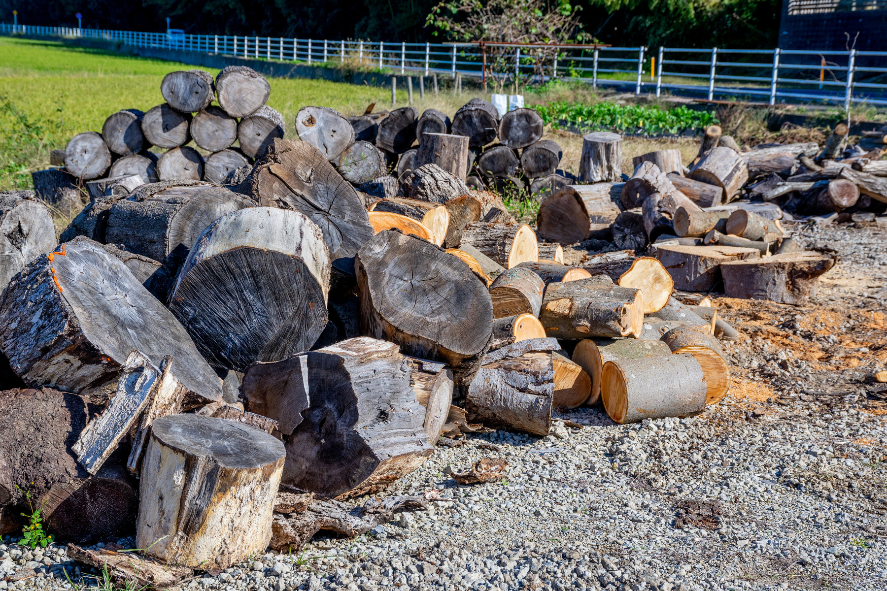 Pile of chopped fire wood