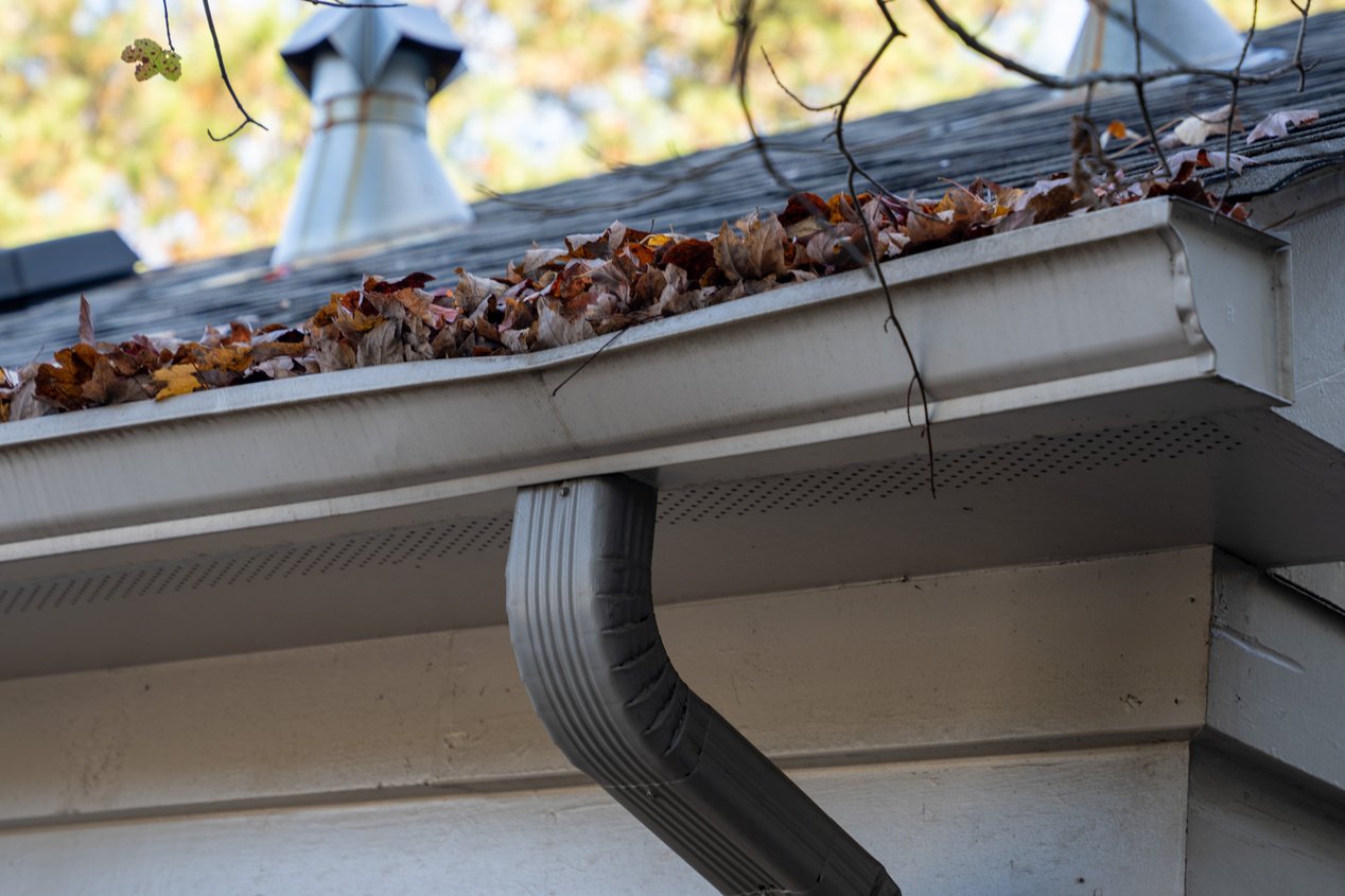 Messy old gutter in need of cleaning