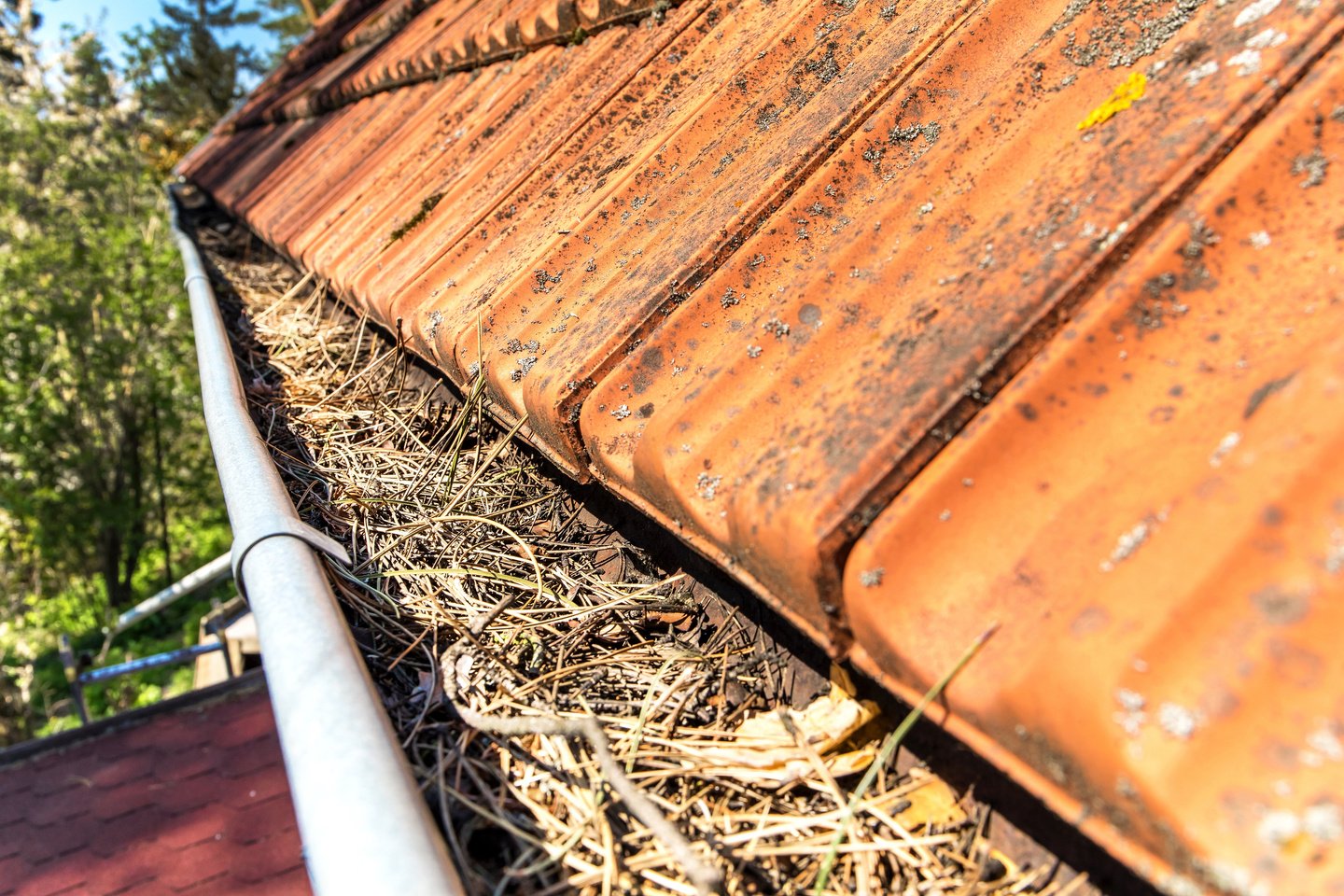 Gutters full of debris needing to be cleaned. Roof gutter clogged with pine needles and debris. Work on the house.